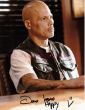 David Labrava (FILEminimizer).jpg