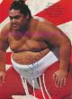 Yokozuna 1993 (FILEminimizer).jpg